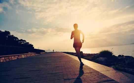 锻炼身体 锻炼身体