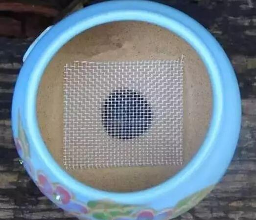 种植盆栽软质材料