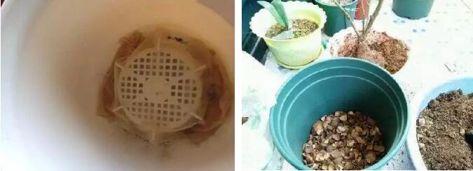 种植盆栽软质材料