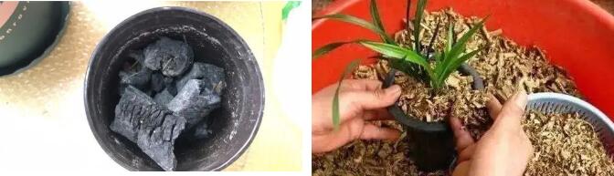 种植盆栽疏松材料