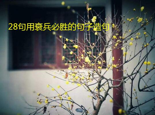 28句用哀兵必胜的句子造句大全
