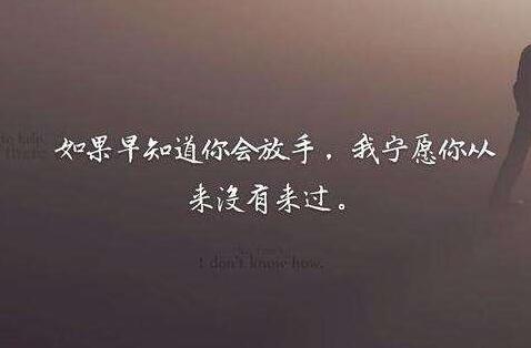 30条关于追逐梦想的励志语录分享