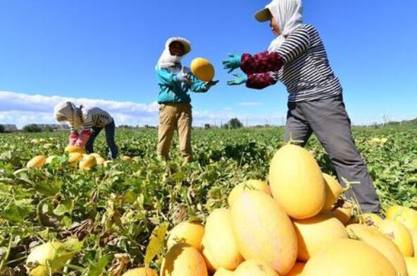 没人注意的暴利行业,其实这三个都挺暴利的