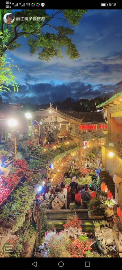 想去丽江旅游,可是又怕得肺炎,只能手机上看看了