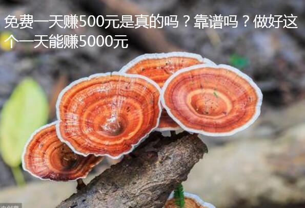 免费一天赚500元是真的吗?靠谱吗?做好这个一天能赚5000元