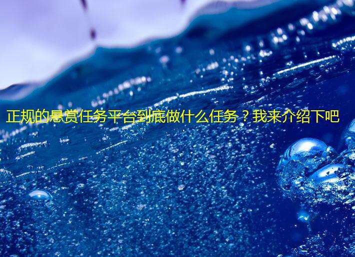 正规的悬赏任务平台到底做什么任务?我来介绍下吧