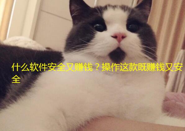 什么软件安全又赚钱?操作这款既赚钱又安全