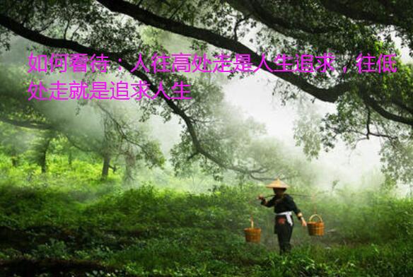 如何看待:人往高处走是人生追求,往低处走就是追求人生