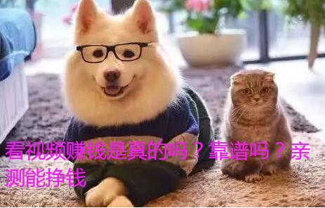 看视频赚钱是真的吗？靠谱吗？亲测能挣钱