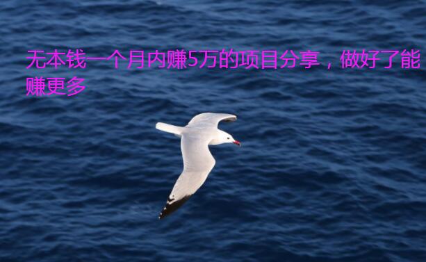 无本钱一个月内赚5万的项目分享,做好了能赚更多
