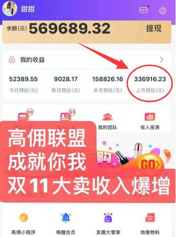 高佣联盟收入图