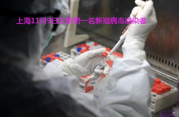 上海11月9日又新增一名新冠病毒感染者