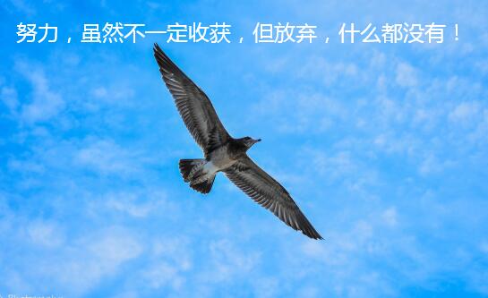 努力,虽然不一定收获,但放弃,什么都没有! 努力,虽然不一定收获,但放弃,什么都没有!