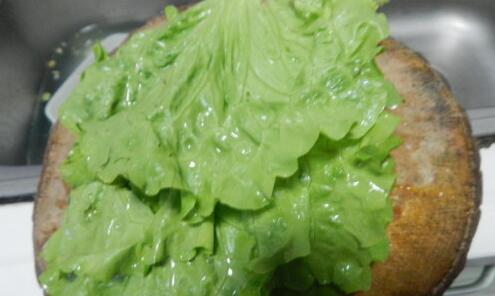 生菜清洗干净切好 生菜清洗干净切好