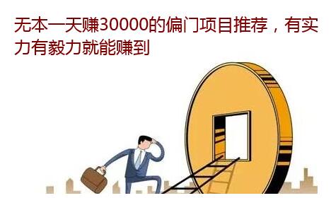 无本一天赚30000的偏门赚钱项目推荐，日赚3万元超轻松
