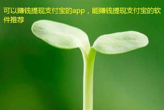 可以赚钱提现支付宝的app推荐,这两款软件都能提现支付宝