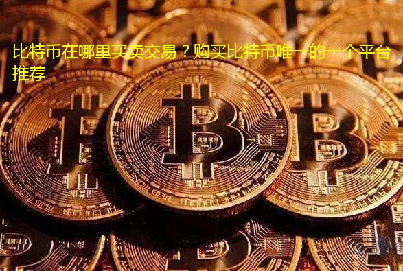比特币在哪里买卖交易？购买比特币唯一的一个平台推荐