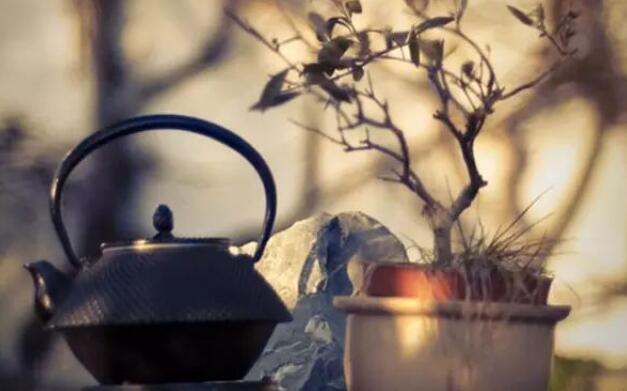 抱怨是一种毒药,比较有深度的好文 抱怨是一种毒药,比较有深度的好文