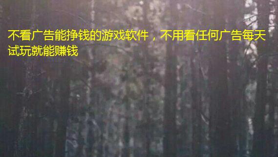 不看广告能挣钱的游戏软件,不用看任何广告每天试玩就能赚钱