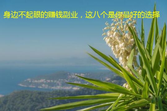 身边不起眼的赚钱副业，这八个是你最好的选择
