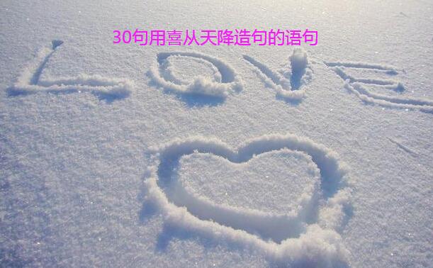 30句用喜从天降造句的语句