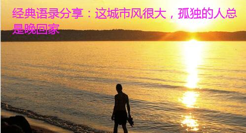 经典语录分享:这城市风很大,孤独的人总是晚回家