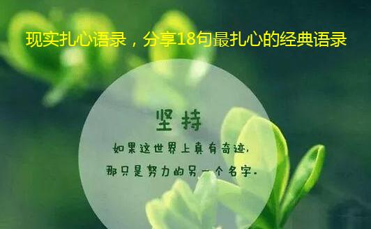 现实扎心语录，分享18句最扎心的经典语录
