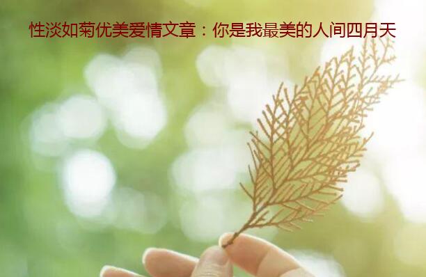 性淡如菊优美爱情文章:你是我最美的人间四月天