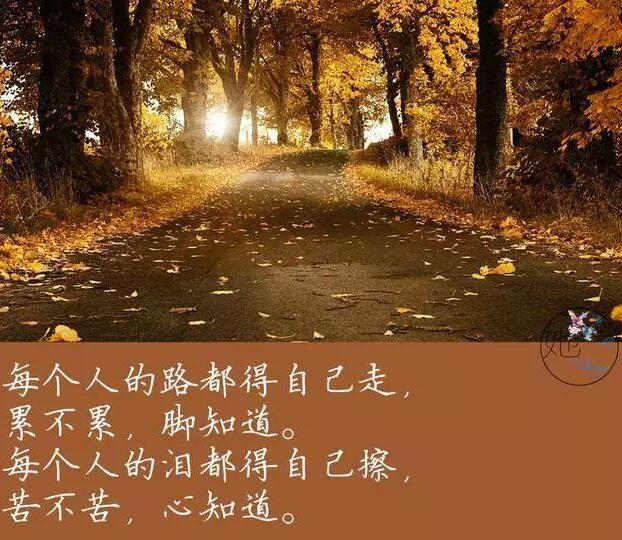 人生的路只能靠自己一步步走出来,别人是无法帮你完成的