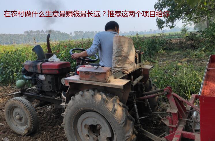 在农村做什么生意最赚钱最长远？推荐这两个项目给你