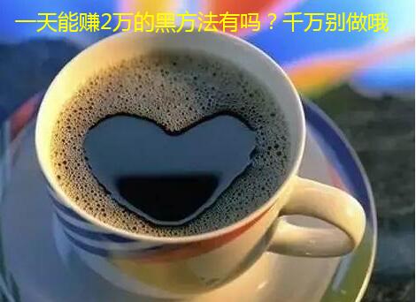 一天能赚2万的黑方法有吗？千万别做哦