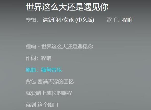 抖音世界这么大还是遇见你歌词分享