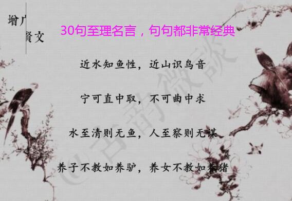 30句至理名言,句句都非常经典