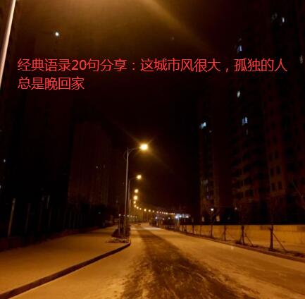 经典语录20句分享:这城市风很大,孤独的人总是晚回家
