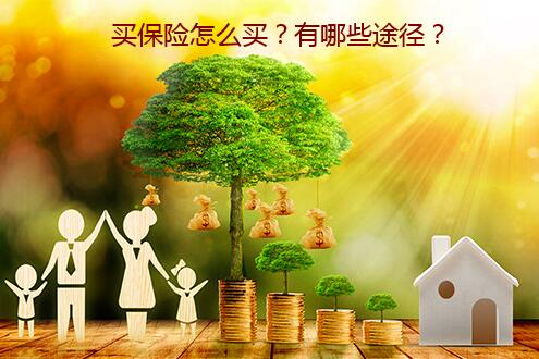买保险怎么买?有哪些途径?