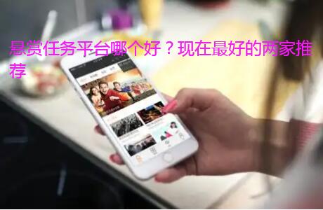 悬赏任务平台哪个好?现在最好的就两家