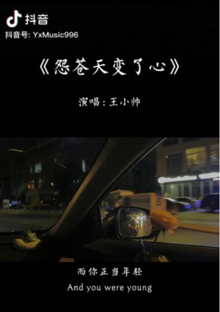 抖音如果让我遇见你而你正当年轻是什么歌曲?