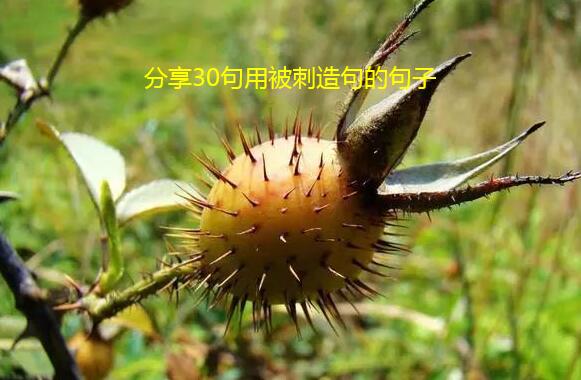 分享30句用被刺造句的句子