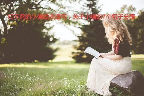 打不死的小强励志语句,关于小强的7个句子分享