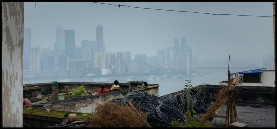 手机拍视频软件哪个好用（新手拍好人像摄影技巧）