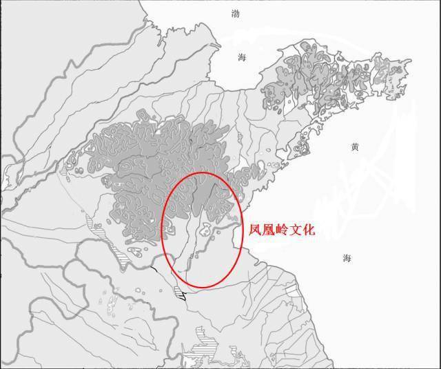重要发现!沂水3个入选
