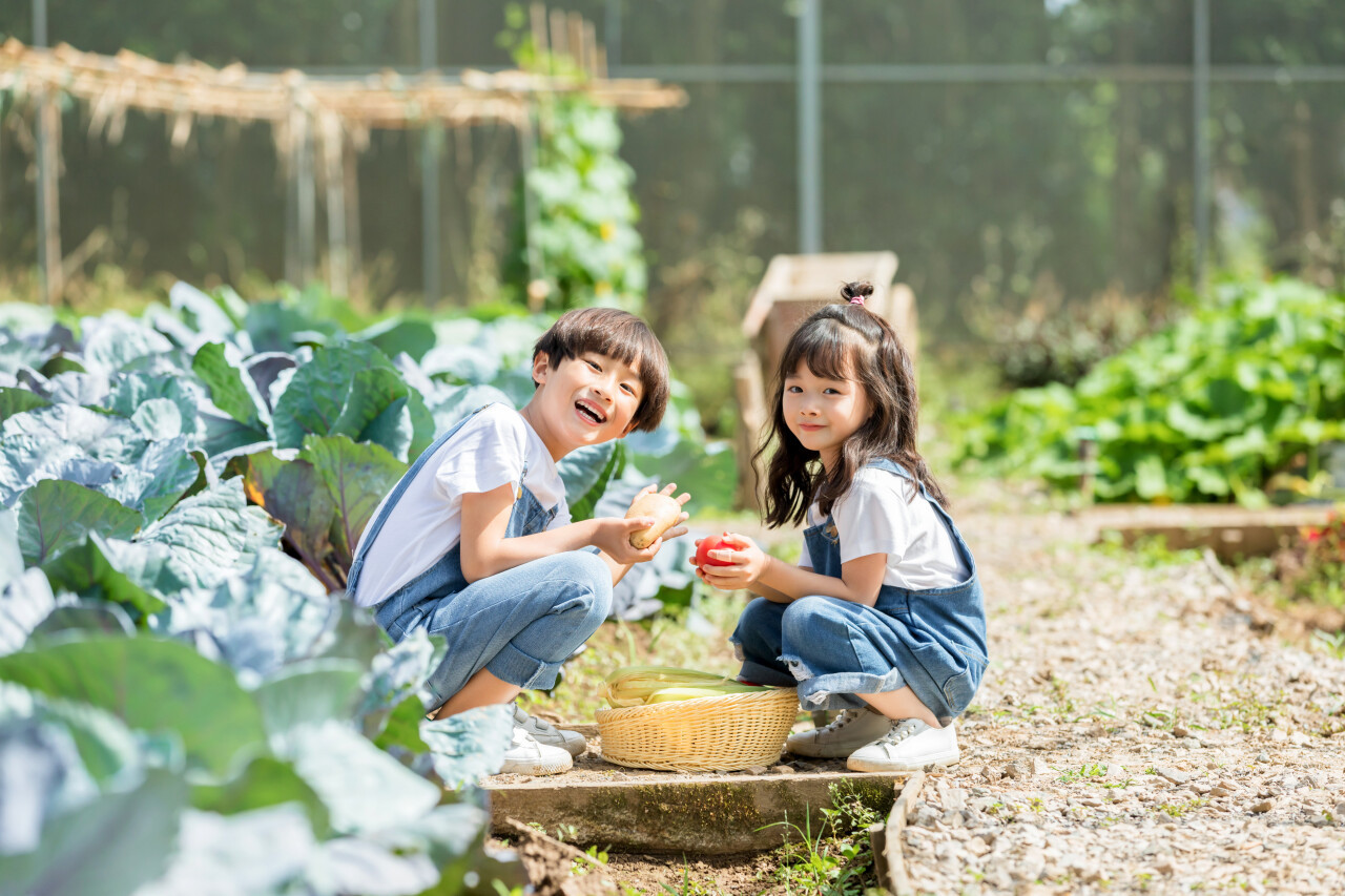 一周涨粉几百万,“张同学”凭什么火?