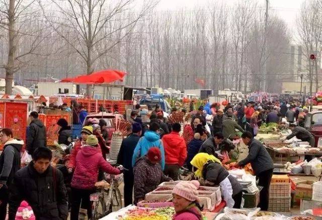 现在农村做什么暴利比较好(农村适合的创业项目推荐)