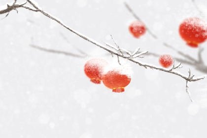 小年的习俗吃火烧 除了吃火烧还有什么