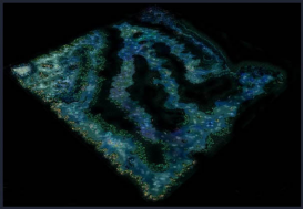 《天使之战》前期地图曝光深度还原勇者大陆(下)