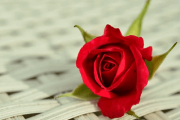 立夏是什么意思