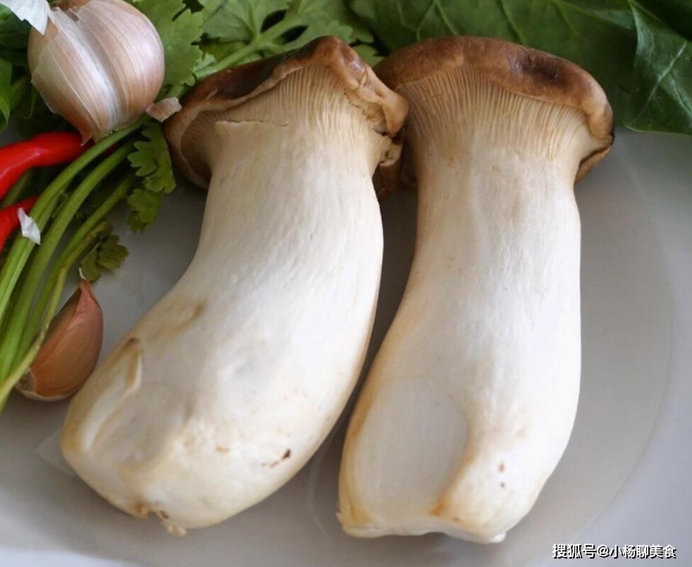 买杏鲍菇,挑长的还是短的?菜农说漏嘴,好在没选错