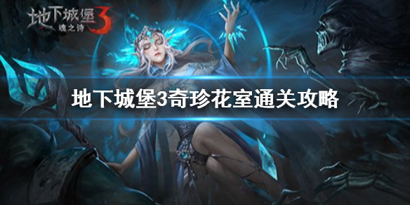《地下城堡3魂之诗》奇珍花室如何通关 奇珍花室速通攻略
