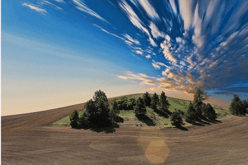 春分是什么意思