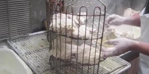 肯德基里面的员工那么多,为什么没人能知道炸鸡的真正配方?